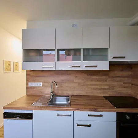 377 By Interhome Harrachov