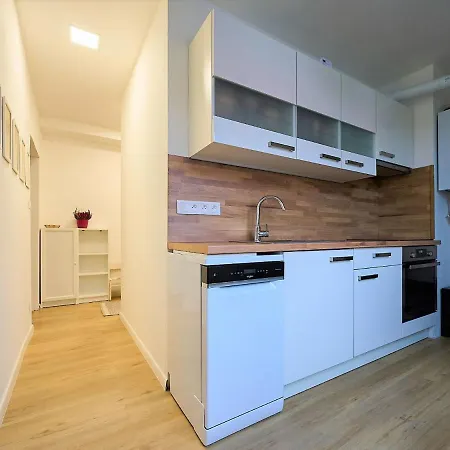 377 By Interhome Apartment Harrachov