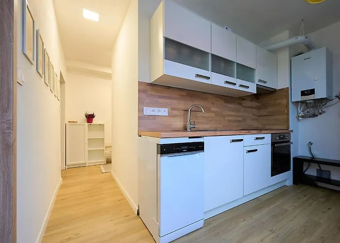 377 By Interhome Apartamento Harrachov